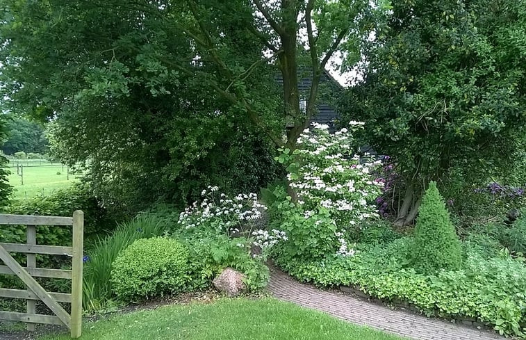 Natuurhuisje in Ruinen