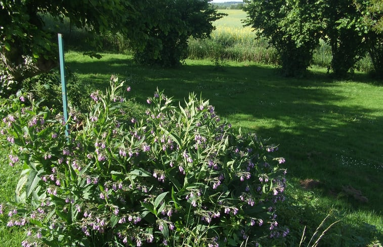 Natuurhuisje in BOSSUS LES RUMIGNY