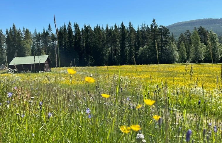 Natuurhuisje in Sveg