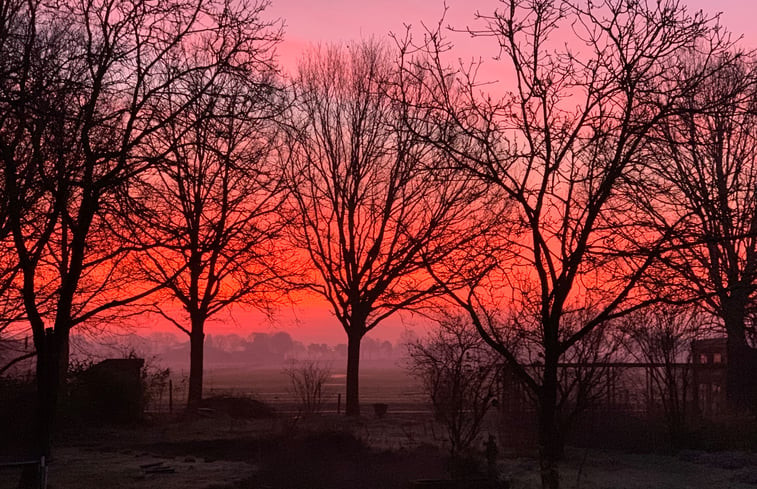 Natuurhuisje in Oostelbeers