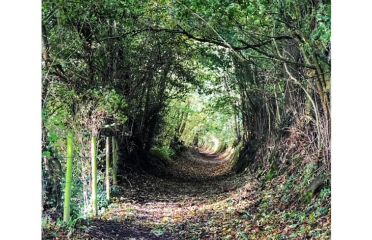 Natuurhuisje in Cerisy la Forêt