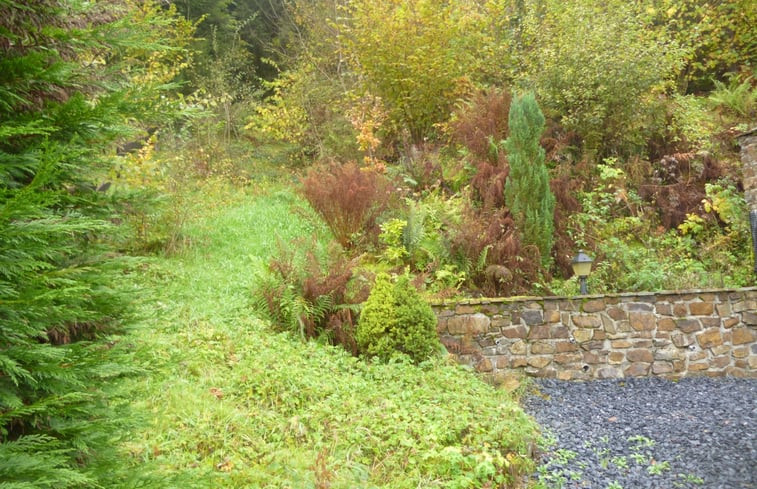 Natuurhuisje in Tenneville