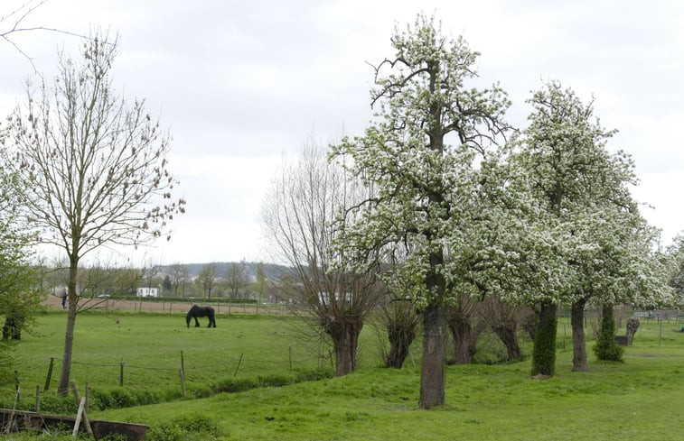 Natuurhuisje in Mesch-Eijsden