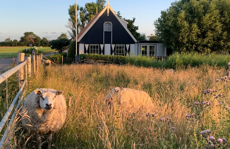 Natuurhuisje in Oosterend