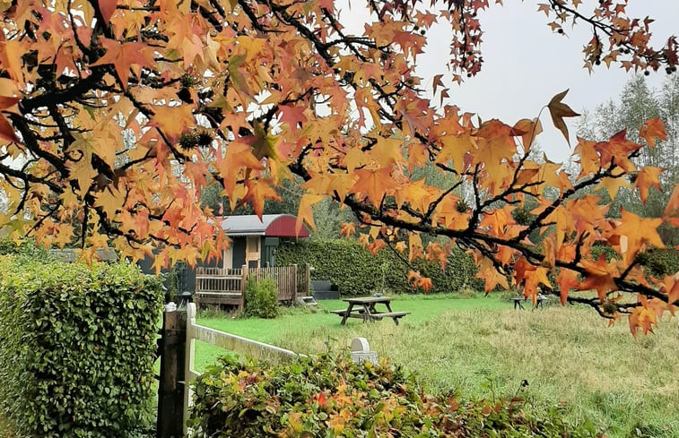 Natuurhuisje in De Heurne