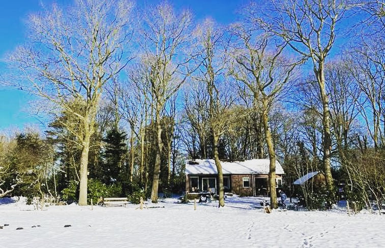 Natuurhuisje in Doldersum