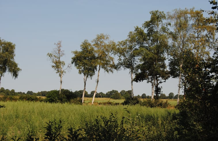 Natuurhuisje in Ruinen