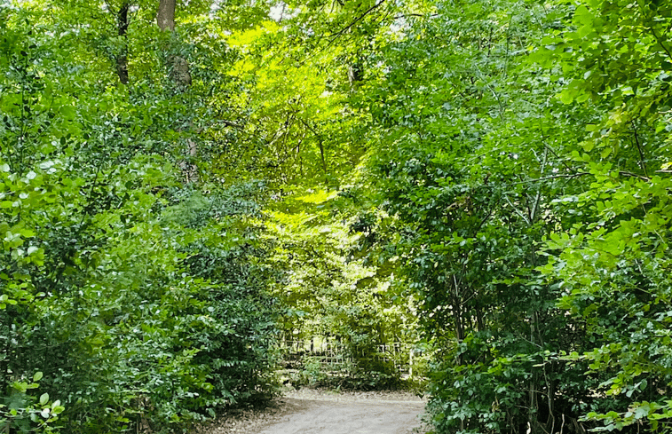 Natuurhuisje in Ermelo