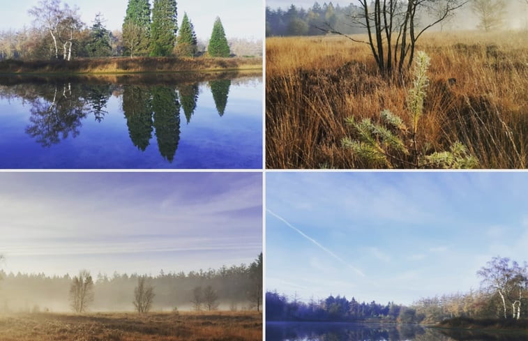 Natuurhuisje in Rheezerveen