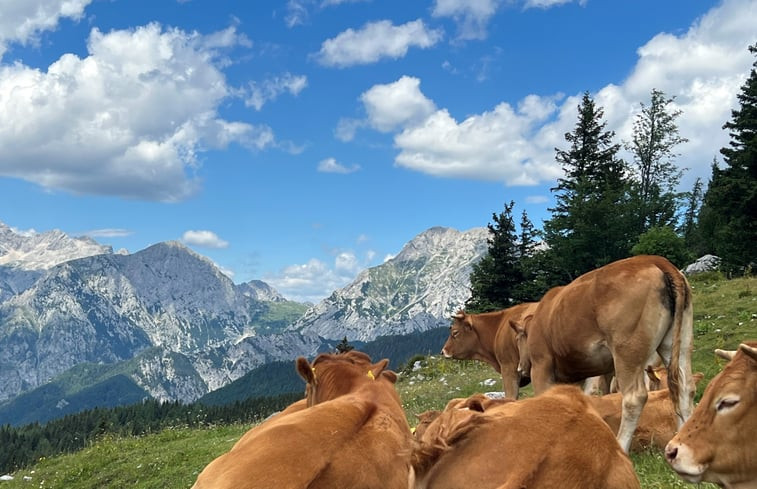 Natuurhuisje in Stahovica