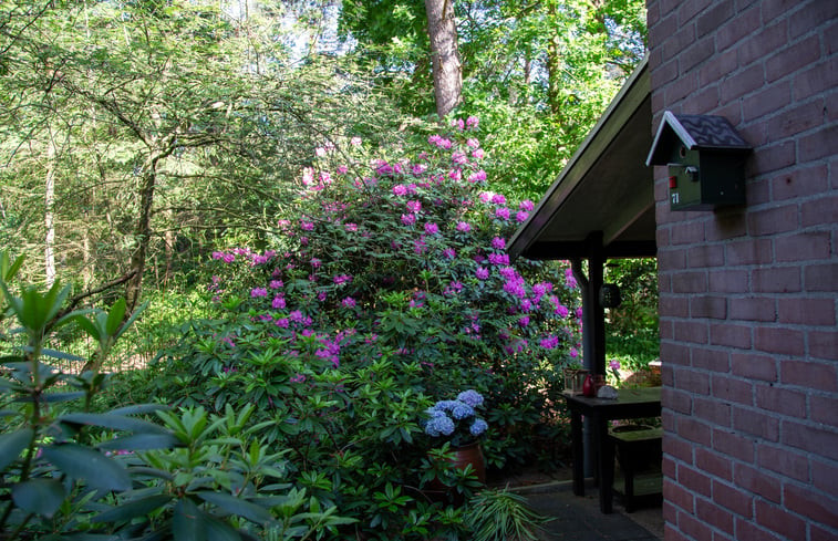 Natuurhuisje in Stegeren