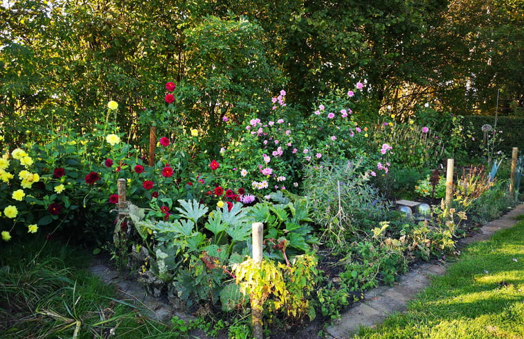 Natuurhuisje in Wittelte