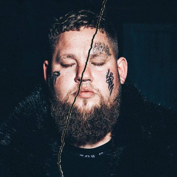 Rag'n'bone Man Rag'n'bone Man - Life By Misadventure (limited, Colour, 180 Gr, 2 LP)