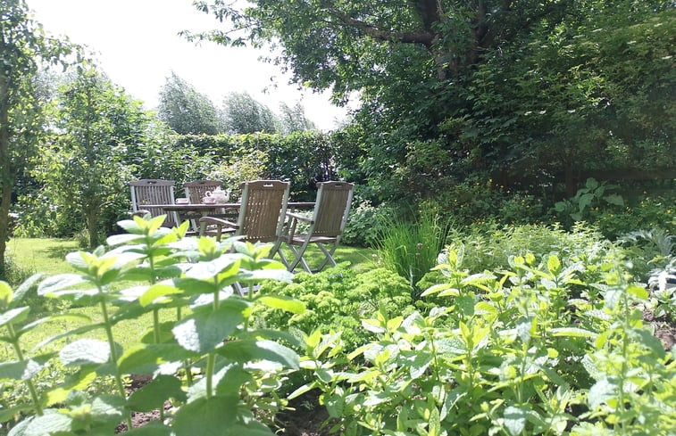 Natuurhuisje in Egmond aan den Hoef