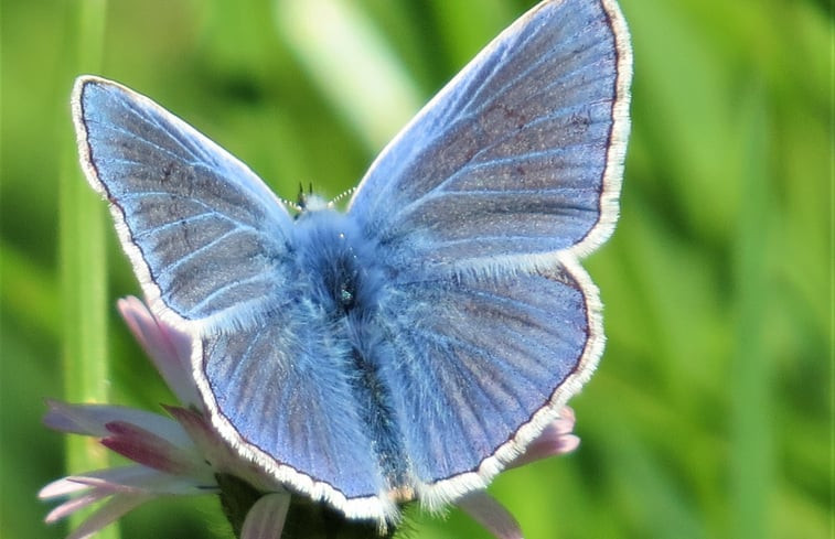 Natuurhuisje in PENSOL