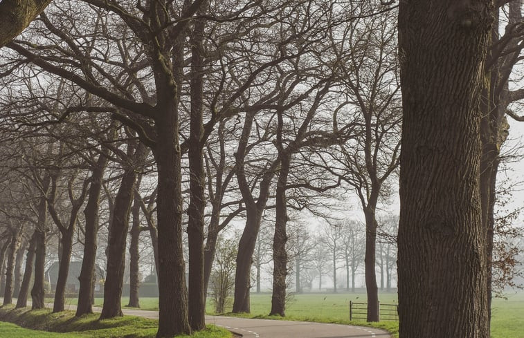 Natuurhuisje in Haarlo