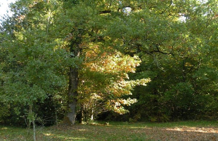 Natuurhuisje in Saint Laurent sur Gorre