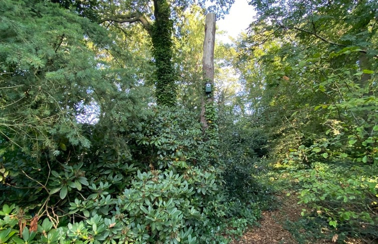 Natuurhuisje in Eefde