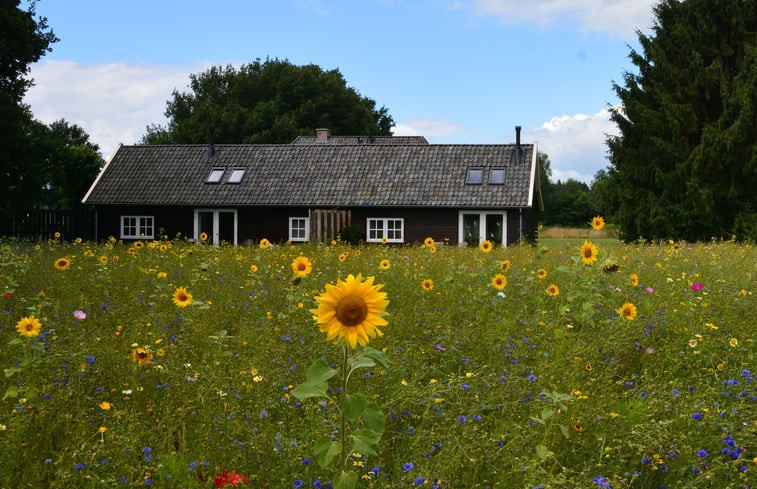 Natuurhuisje in Varssel - Hengelo Gld