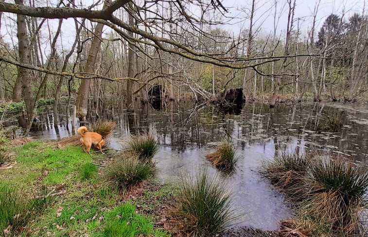 Natuurhuisje in Gellik-Lanaken