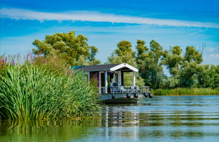 Natuurhuisje in De Biesbosch