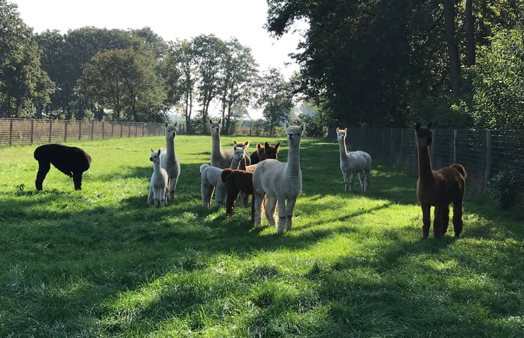 Natuurhuisje in Mariahout