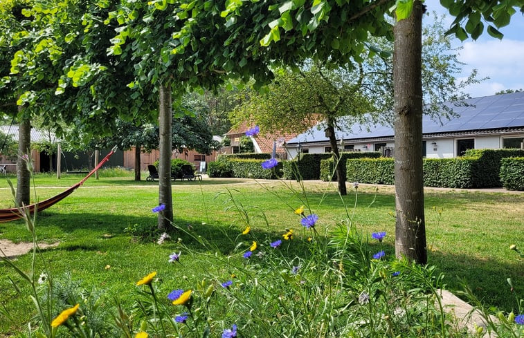 Natuurhuisje in Ruurlo