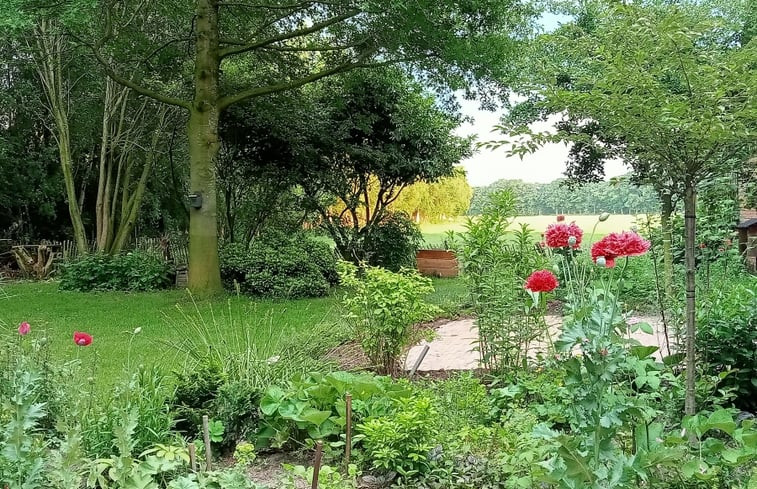 Natuurhuisje in Geesteren, Twente