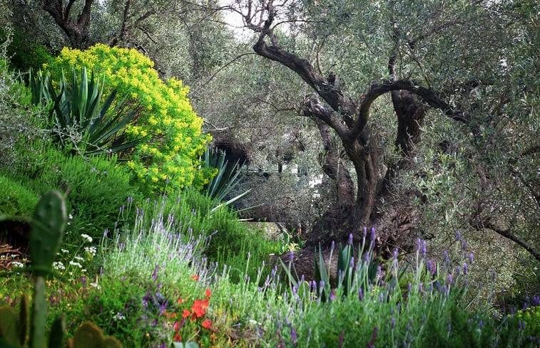 Natuurhuisje in Pelion