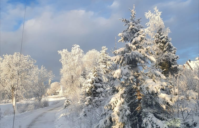 Natuurhuisje in Höljes