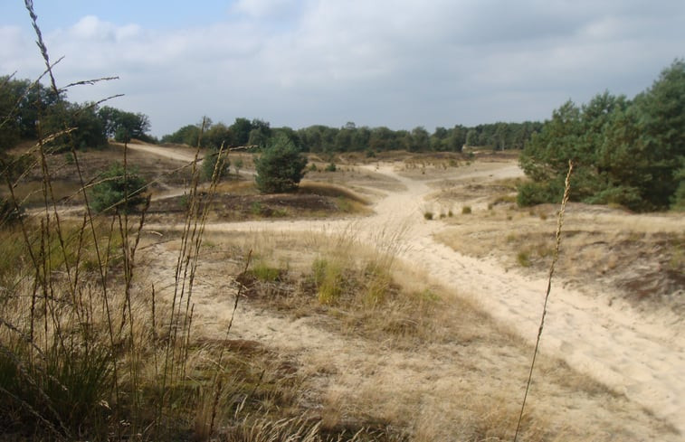 Natuurhuisje in Drunen