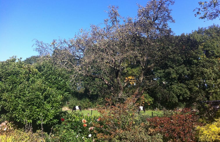 Natuurhuisje in Woudenberg