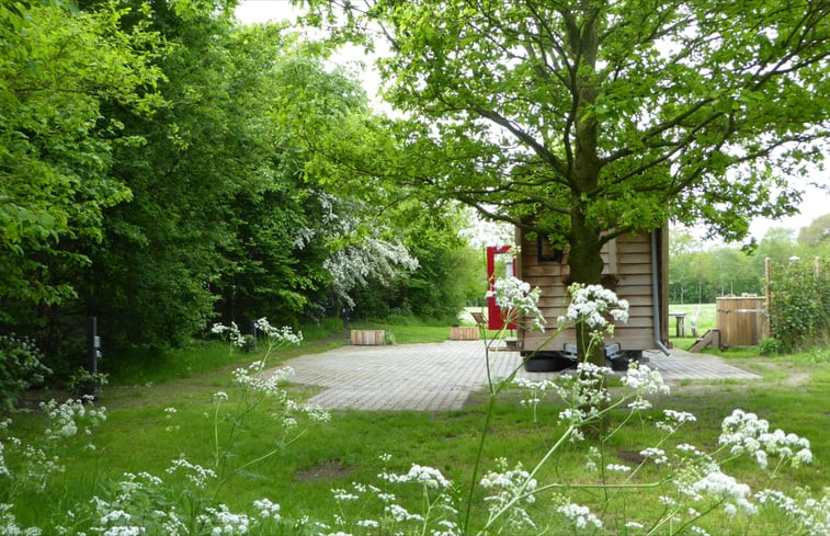 Natuurhuisje in Diepenheim