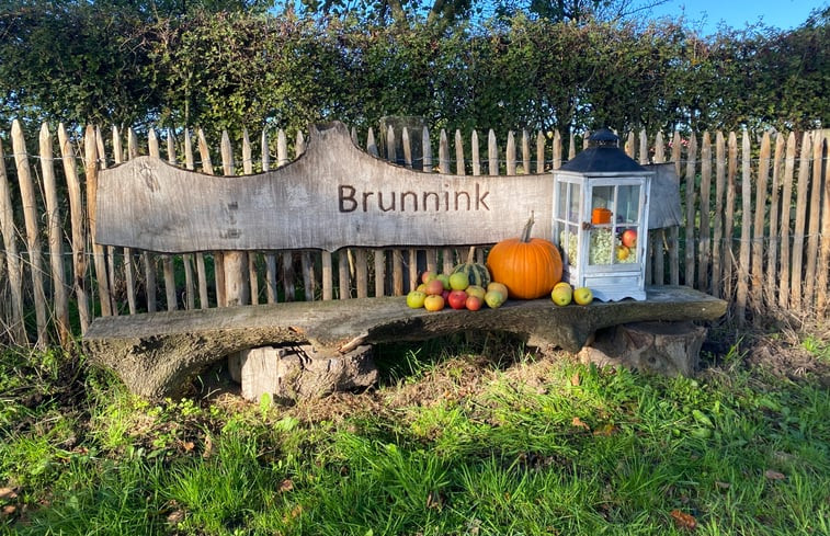 Natuurhuisje in Geesteren