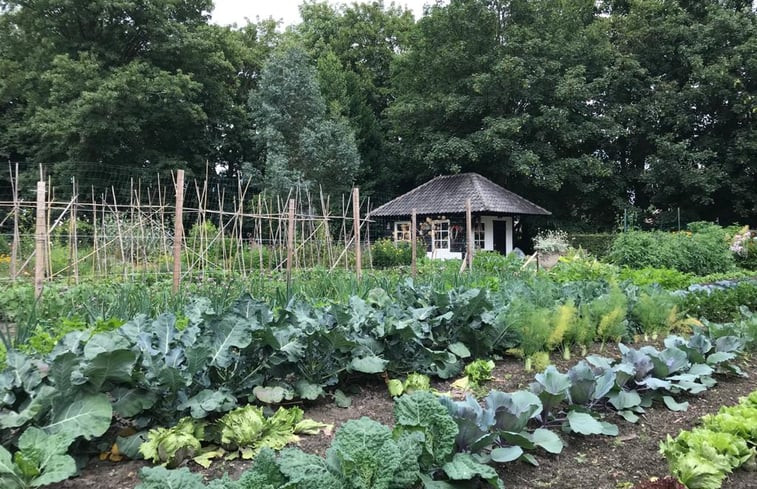 Natuurhuisje in Loon op Zand