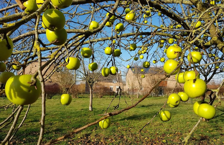 Natuurhuisje in Aulnoyes-Aymeries