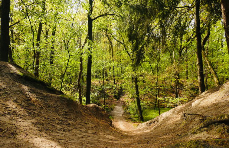 Natuurhuisje in Elim