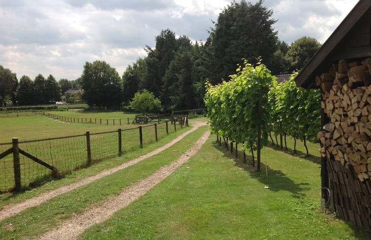 Natuurhuisje in De Steeg