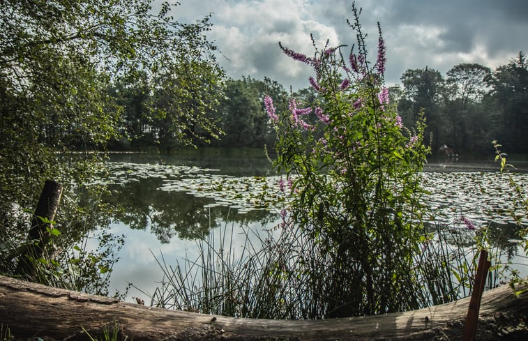 Natuurhuisje in Papenvoort