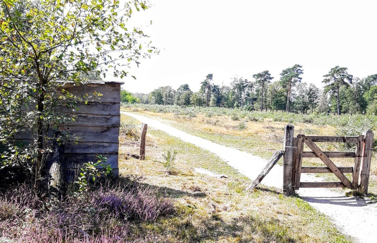 Natuurhuisje in Holten