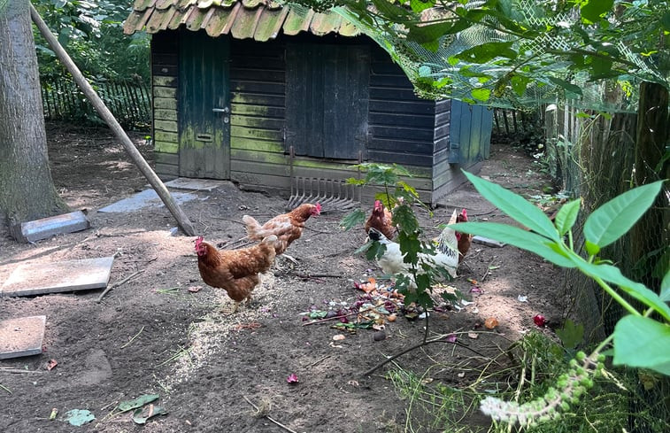 Natuurhuisje in Grobbendonk