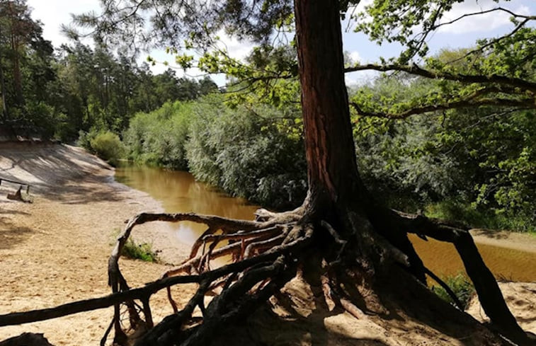 Natuurhuisje in de Lutte