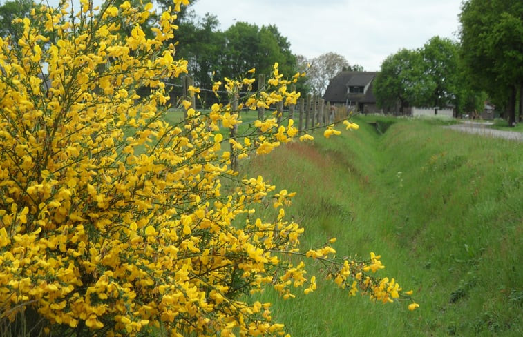 Natuurhuisje in Holten