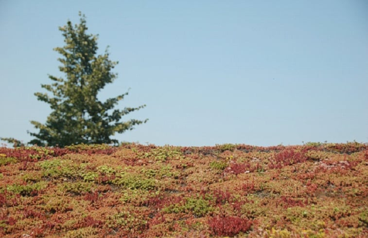 Natuurhuisje in Scherpenheuvel