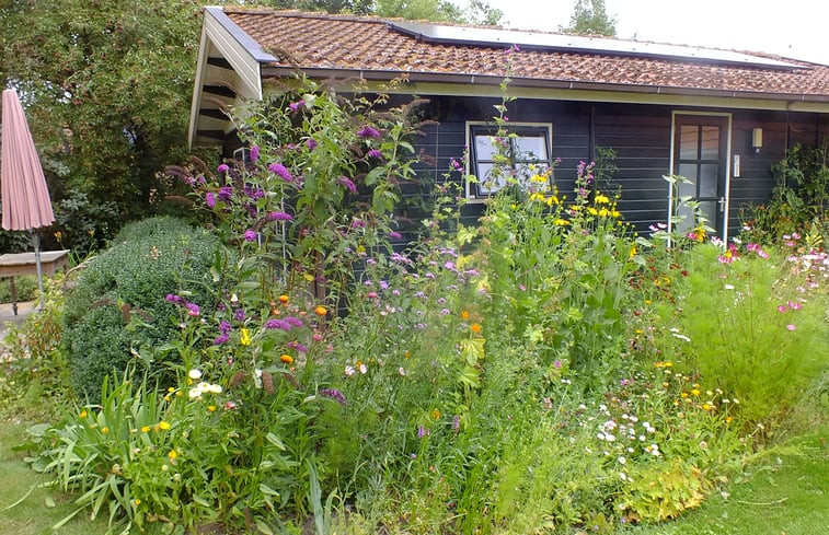 Natuurhuisje in Idsegahuizum (Makkum)