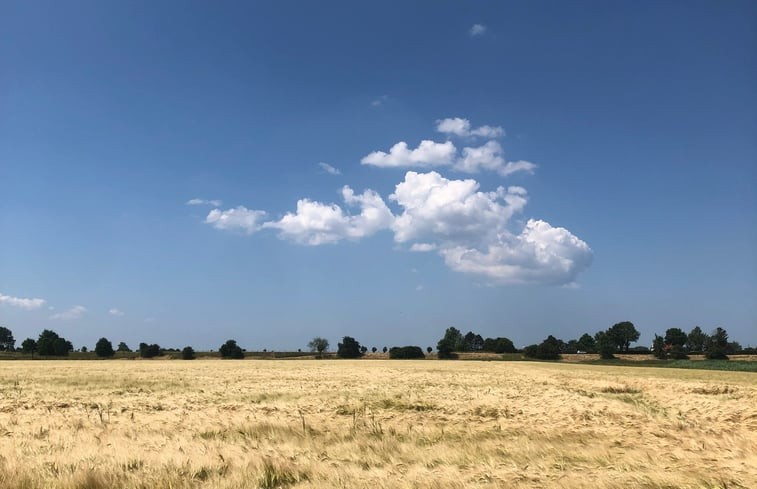 Natuurhuisje in Zonnemaire