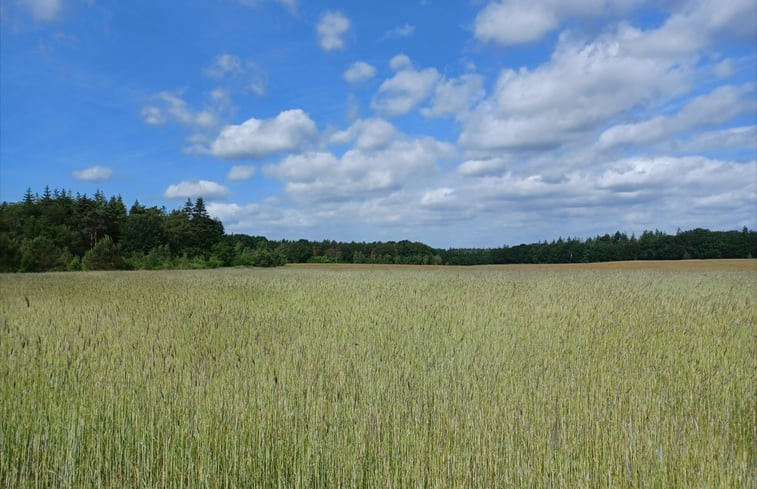 Natuurhuisje in Maarn