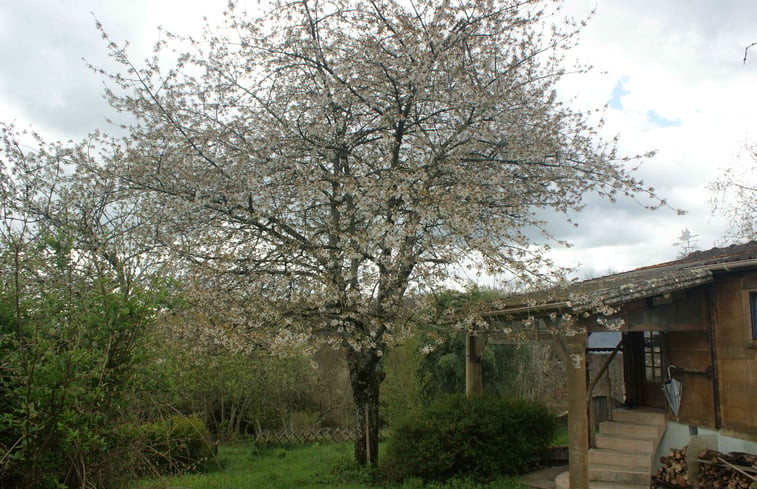 Natuurhuisje in Couleuvre