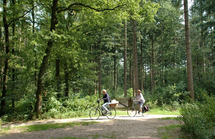 Natuurhuisje in Ermelo