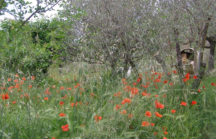 Natuurhuisje in Crestet